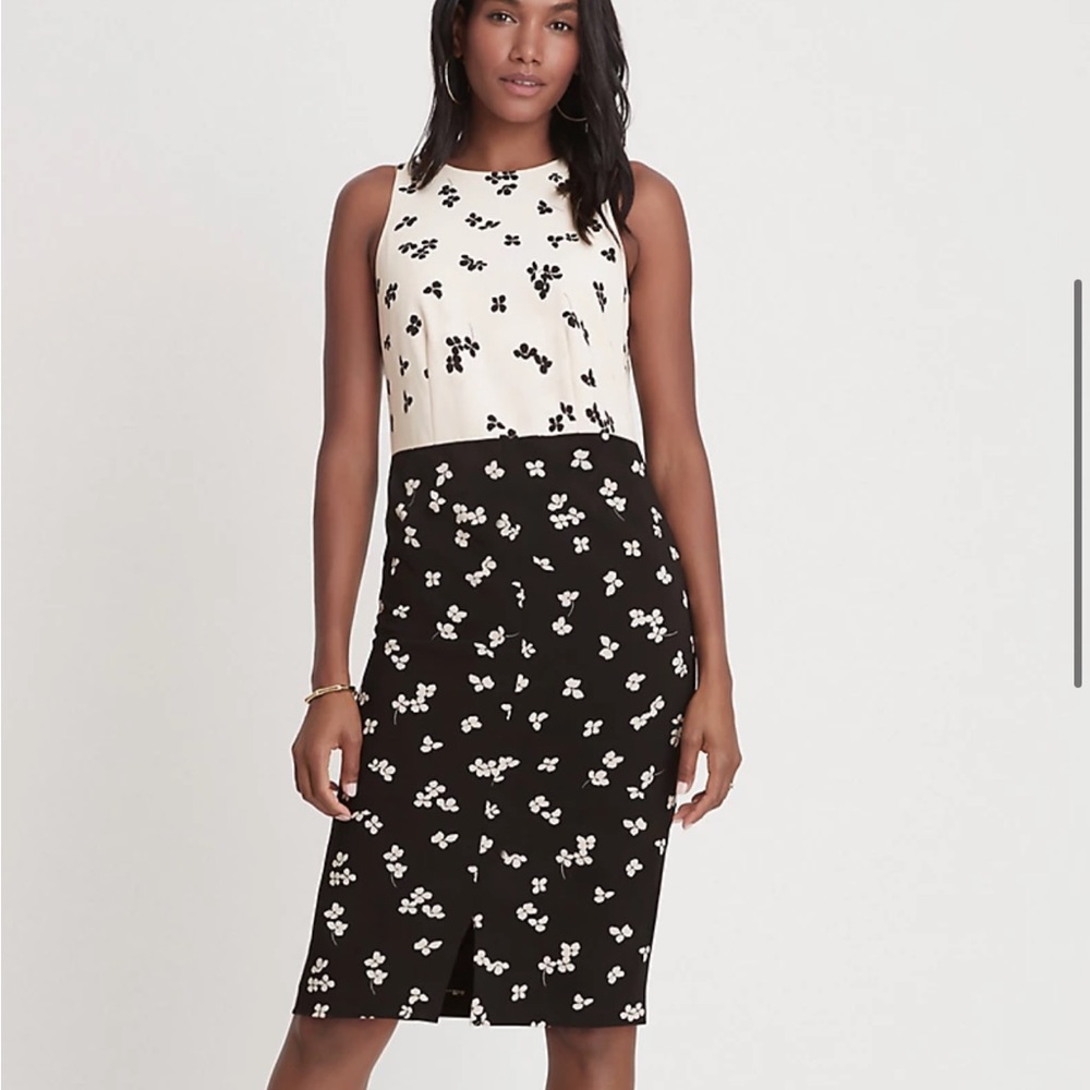 Ann taylor dress